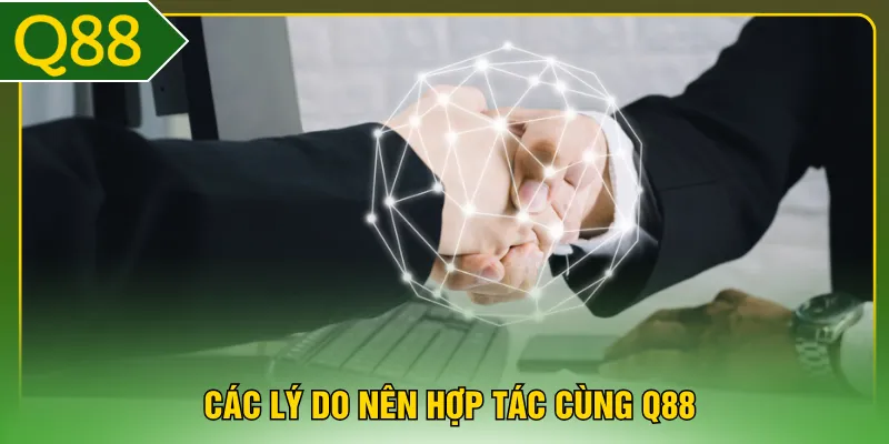 Các lý do nên hợp tác cùng Q88
