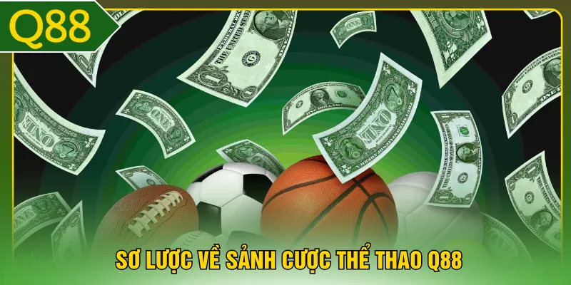 Sơ lược về sảnh cược thể thao Q88