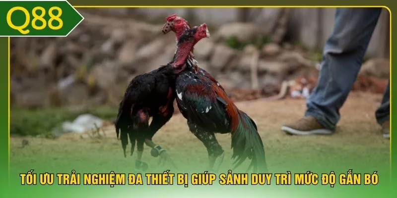 Tối ưu trải nghiệm đa thiết bị giúp sảnh duy trì mức độ gắn bó