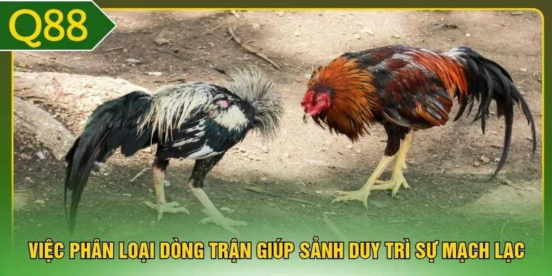 Việc phân loại dòng trận giúp sảnh duy trì sự mạch lạc